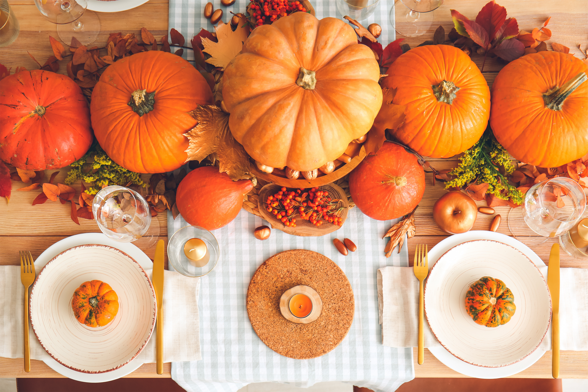 Picking the Perfect Piece of Fall Décor at the Pumpkin Patch