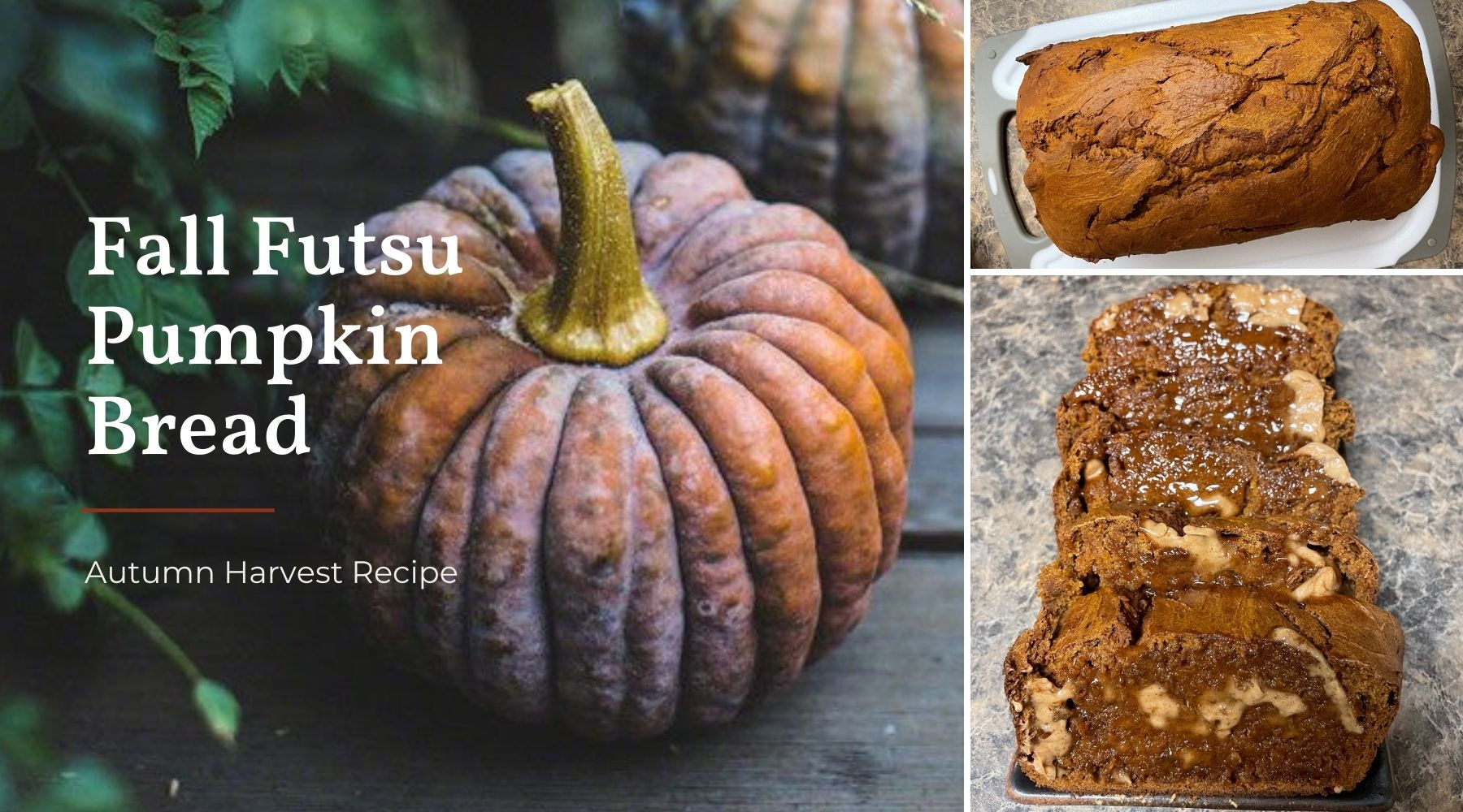 Fall Futsu Pumpkin Bread Green Bluff WA