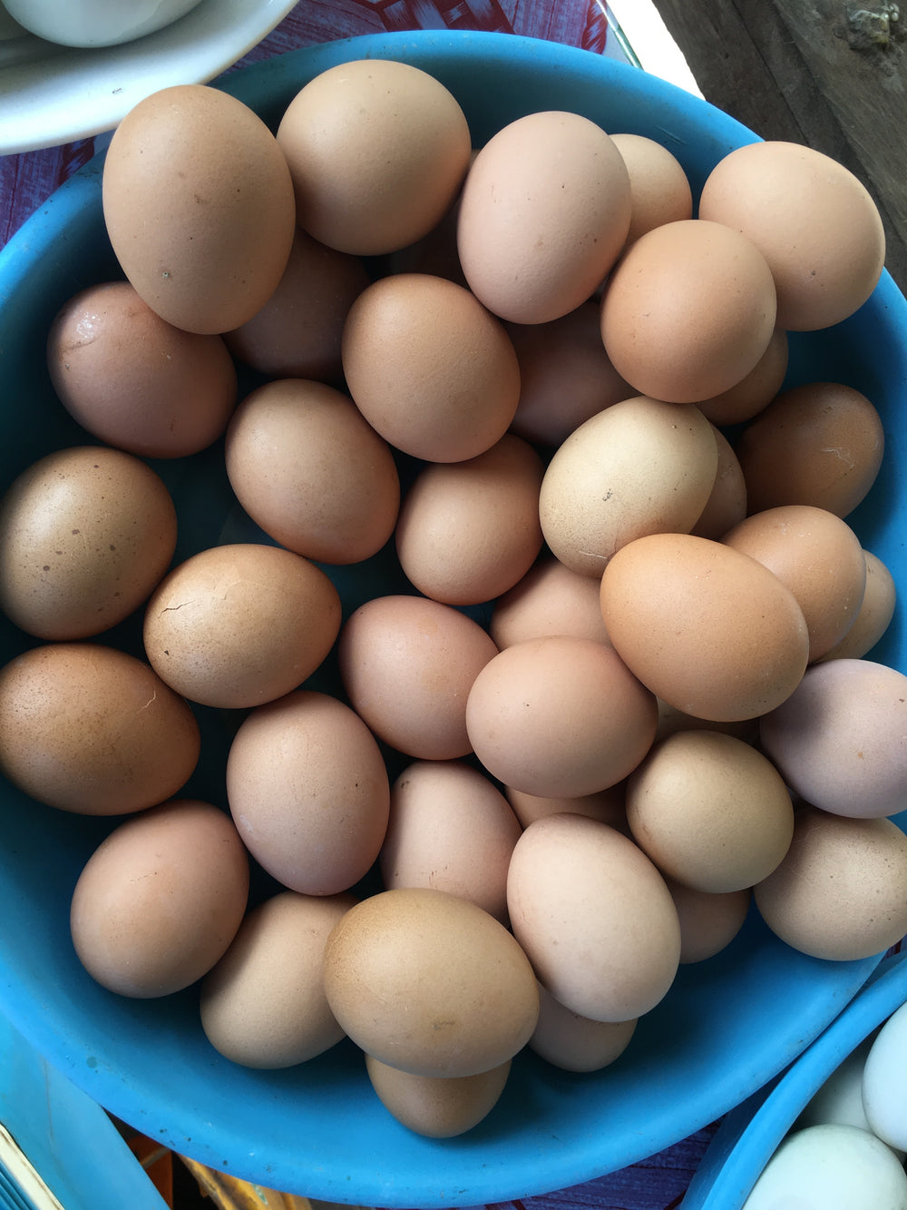 Farm Fresh Eggs