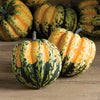Carnival Acorn Squash (Set of 2)