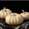 Autumn Crown Pumpkins (Set of 2)