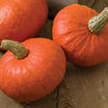 Sunshine Kabocha Squash (Set of 2)