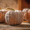 Black Futsu Pumpkins (Set of 2)