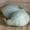 Blue Hubbard Squash