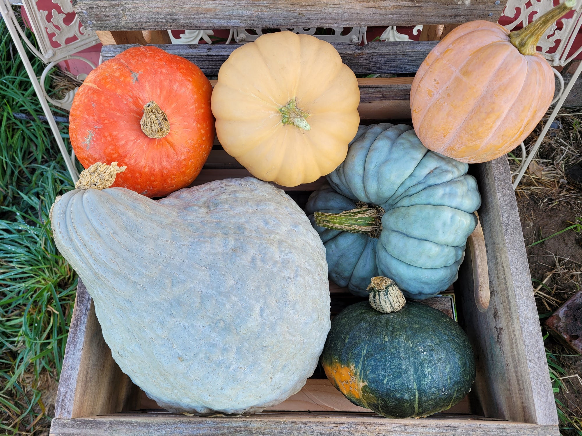 Savory Soups and Stews Collection