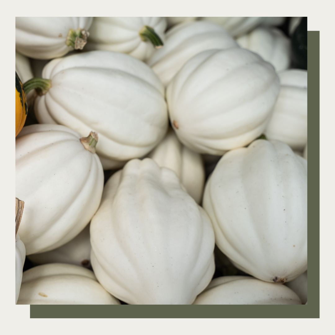 Mashed Potato Acorn Squash (Set of 2)
