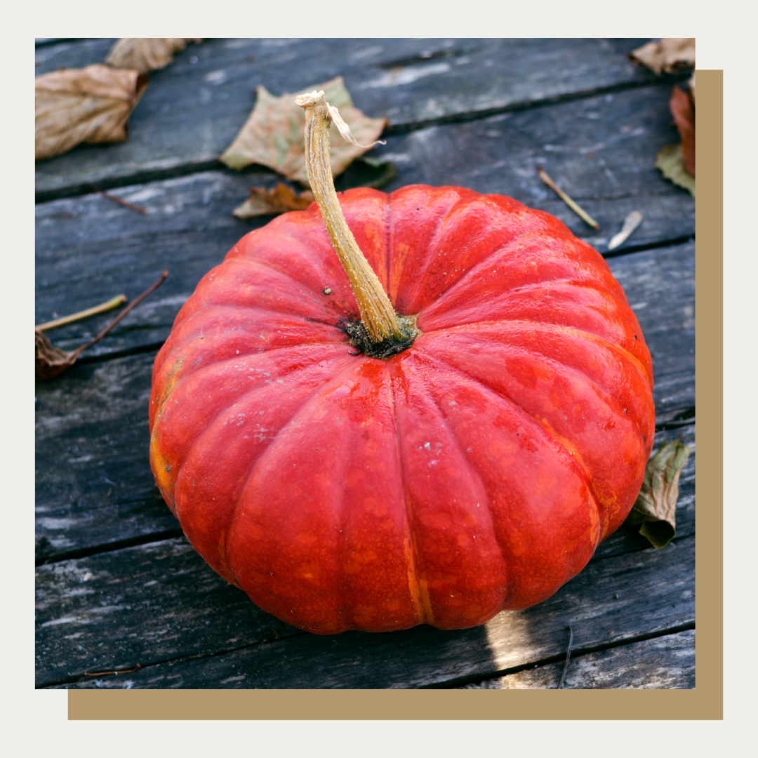 Rouge V'If D'Etampes Pumpkin (French Heirloom)