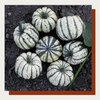 Sweet Dumpling Delicata Squash (Set of 2)
