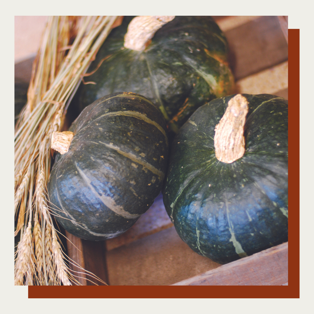 Sweet Mama Kabocha Squash (Set of 2)