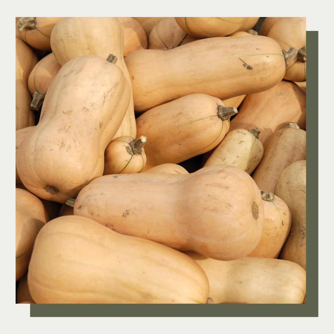 Waltham Butternut