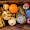 Winter Squash Sampler Collection
