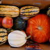 Winter Squash Sampler Collection